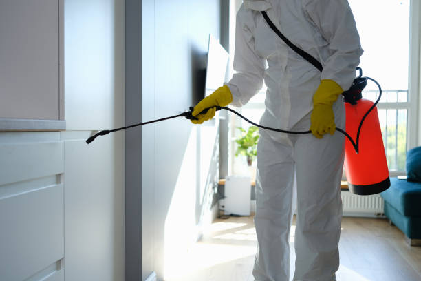 Best Toxic Mold Removal  in Sulphur, LA